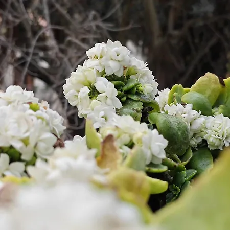 Amoroso - Ospitalità Mediterranea Agrigento