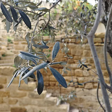 Amoroso - Ospitalità Mediterranea Agrigento